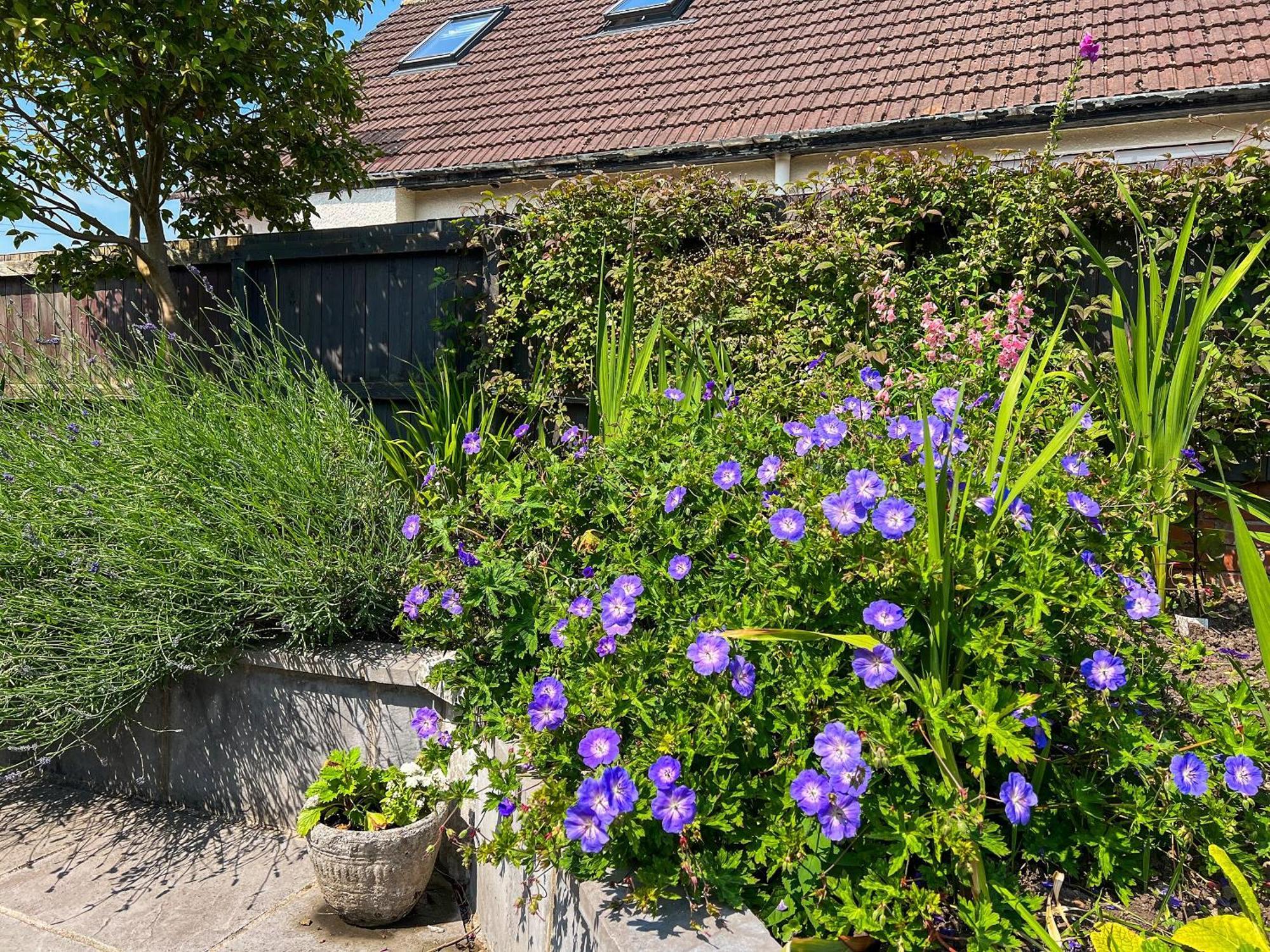 Cwtch Cottage Cardiff Exteriér fotografie